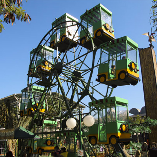 Roda Safari